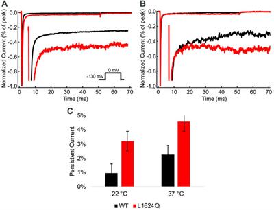 The L1624Q Variant in SCN1A Causes Familial Epilepsy Through a Mixed Gain and Loss of Channel Function